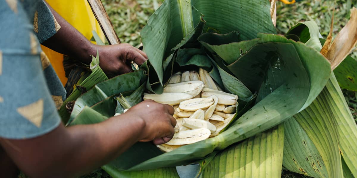 Woman preparing bananas for cooking in Uganda, Africa