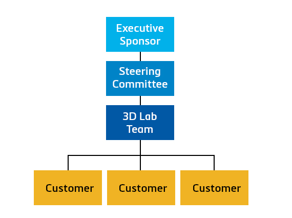 Hospital 3D Print Lab Organizational Chart