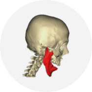 3D visualization of a patient’s jaw